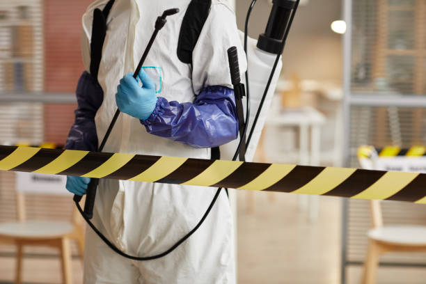 Professional Sewage Cleanup technician working in Rootstown, OH